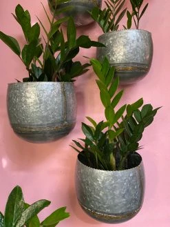 Feng Sway 6-7" POTS Galvanized Metal Wall Hanging Planter