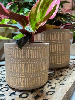 Feng Sway Exclusive Gold Detailed Stoneware Planter