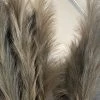 Feng Sway ALL HOME DECOR + ODDITIES Sage Faux Pampas Stems 1 Feng Sway ALL HOME DECOR + ODDITIES Sage Faux Pampas Stems