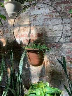 Feng Sway Full Moon Terra Cotta Hanging Planter 4-5" POTS