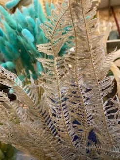 Feng Sway Cool Grey Dried Fern Leaf Bundle DRIED FLORALS + FEATHERS