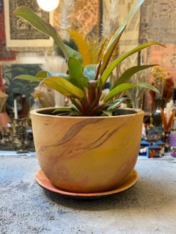 Feng Sway Exclusive Marmalade Marbled Terracotta Planter ALL HOME DECOR + ODDITIES