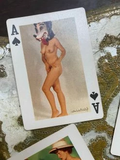 FENG SWAY Rare Models Of All Nations Playing Cards