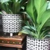 Feng Sway Black + White MCM Footed Pot
