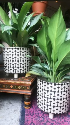 Feng Sway Black + White MCM Footed Pot