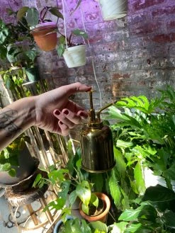 Feng Sway Exclusive Golden Plant Mister