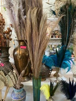 Feng Sway Tiger Grass Bundle 9 Feng Sway Tiger Grass Bundle