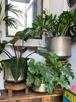 Feng Sway 10" POTS Chic Galvanized Chateau Planter ~ 3 Sizes