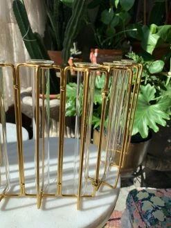 Feng Sway Exclusive Iron Test Tube Propagation Set