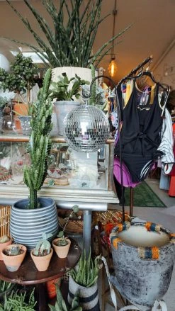 Feng Sway FUN Garden Disco Ball