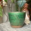 Feng Sway Green Tile Pot 4-5" POTS