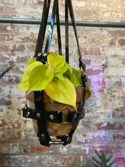 Feng Sway Vegan Black Patent Hanging Plant Harness By PURITAN CANDY ALL POTTERY