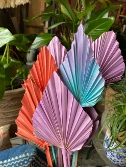 Feng Sway Exclusive Custom Colored Spear Cut Palm Stem