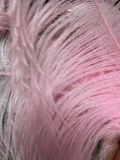Feng Sway Large Pink Ostrich Feather DRIED FLORALS + FEATHERS 7 Feng Sway Large Pink Ostrich Feather DRIED FLORALS + FEATHERS