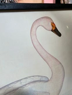Feng Sway Exclusive Framed Swan Wall Hanging