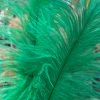 Feng Sway Kelly Green Ostrich Feathers