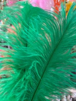Feng Sway Kelly Green Ostrich Feathers