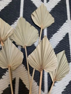 Feng Sway Spear Cut Palm Stem