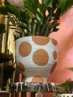 Feng Sway 10" POTS Large Spotted Terra Cotta Pot
