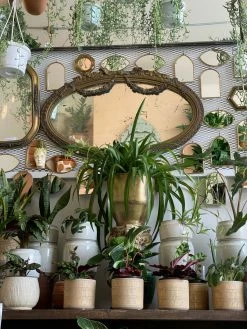 Feng Sway Exclusive Antique Brass Planter ~ 3 Sizes 8-9" POTS