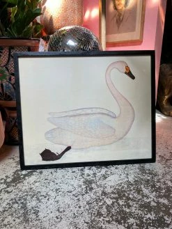 Feng Sway Exclusive Framed Swan Wall Hanging