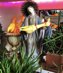 FENG SWAY FUN Rubber Chicken Mascot