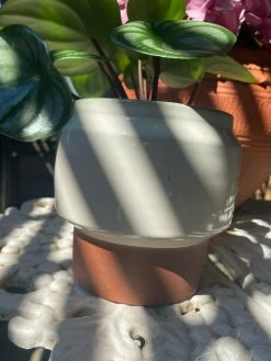 Feng Sway Stogie Pots ~ 3 Sizes 4-5