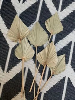 Feng Sway Spear Cut Palm Stem