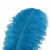 Feng Sway DRIED FLORALS + FEATHERS Turquoise Ostrich Feathers