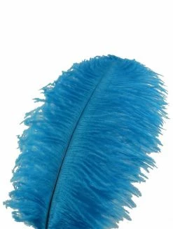 Feng Sway DRIED FLORALS + FEATHERS Turquoise Ostrich Feathers