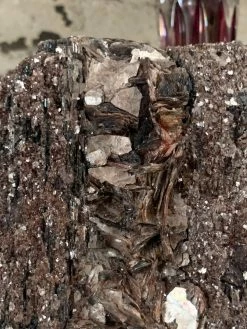 Feng Sway Black Tourmaline With Ruby Mica