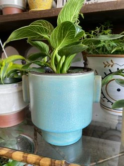 Feng Sway Exclusive Domo Aqua Planter 4-5