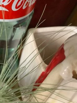 Vintage 40s Saint Vase And Planter