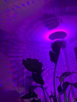 Feng Sway FUN Garden Disco Ball