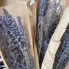 Feng Sway DRIED FLORALS + FEATHERS Fresh Dried Lavender Bundle
