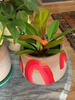 FENG SWAY GIFTS Rainbow Terra Cotta Pot