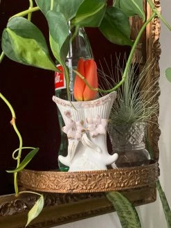 Vintage 1940s Horn Bud Vase