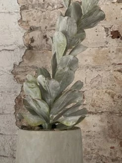 Feng Sway Exclusive PET-FRIENDLY Climbing Faux Succulent