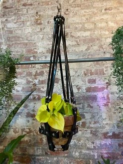 Feng Sway Vegan Black Patent Hanging Plant Harness By PURITAN CANDY ALL POTTERY