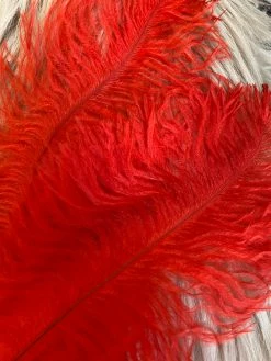 Feng Sway DRIED FLORALS + FEATHERS Red Ostrich Feathers