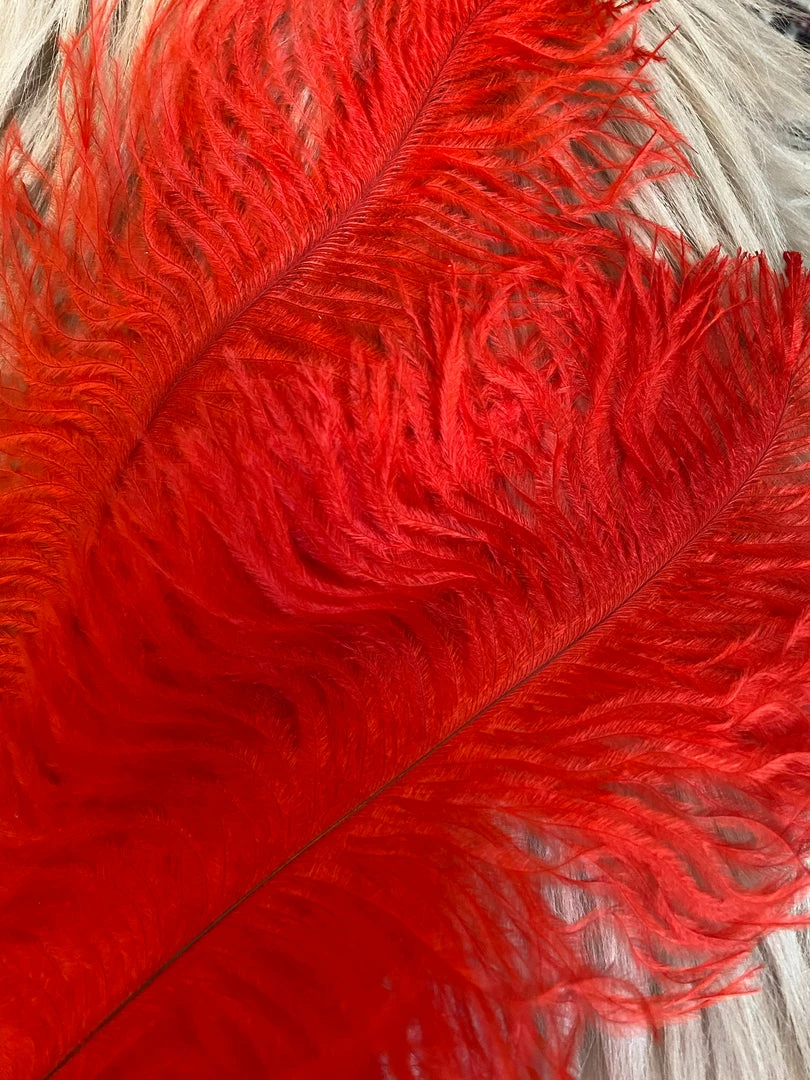 Feng Sway DRIED FLORALS + FEATHERS Red Ostrich Feathers 3 Feng Sway DRIED FLORALS + FEATHERS Red Ostrich Feathers