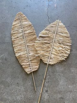 Feng Sway Tall Palms