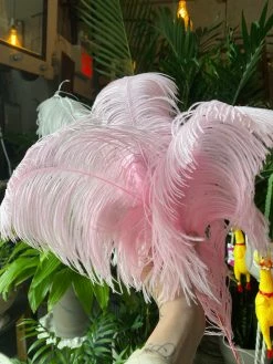 Feng Sway Large Pink Ostrich Feather DRIED FLORALS + FEATHERS