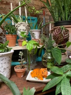 Feng Sway Exclusive FUN Roman Goddess Head Planter