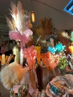 Feng Sway Pink Ostrich Feathers DRIED FLORALS + FEATHERS