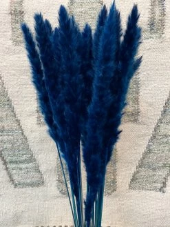 Feng Sway Pampas Grass Bundles DRIED FLORALS + FEATHERS