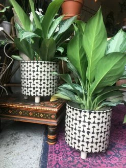Feng Sway Black + White MCM Footed Pot