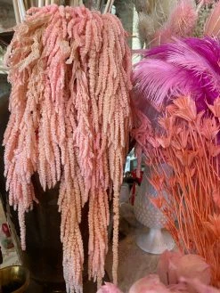 Feng Sway DRIED FLORALS + FEATHERS Preserved Pink Waterfall Amaranthus Bundle