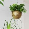 Feng Sway MCM Brass Hanging Planter