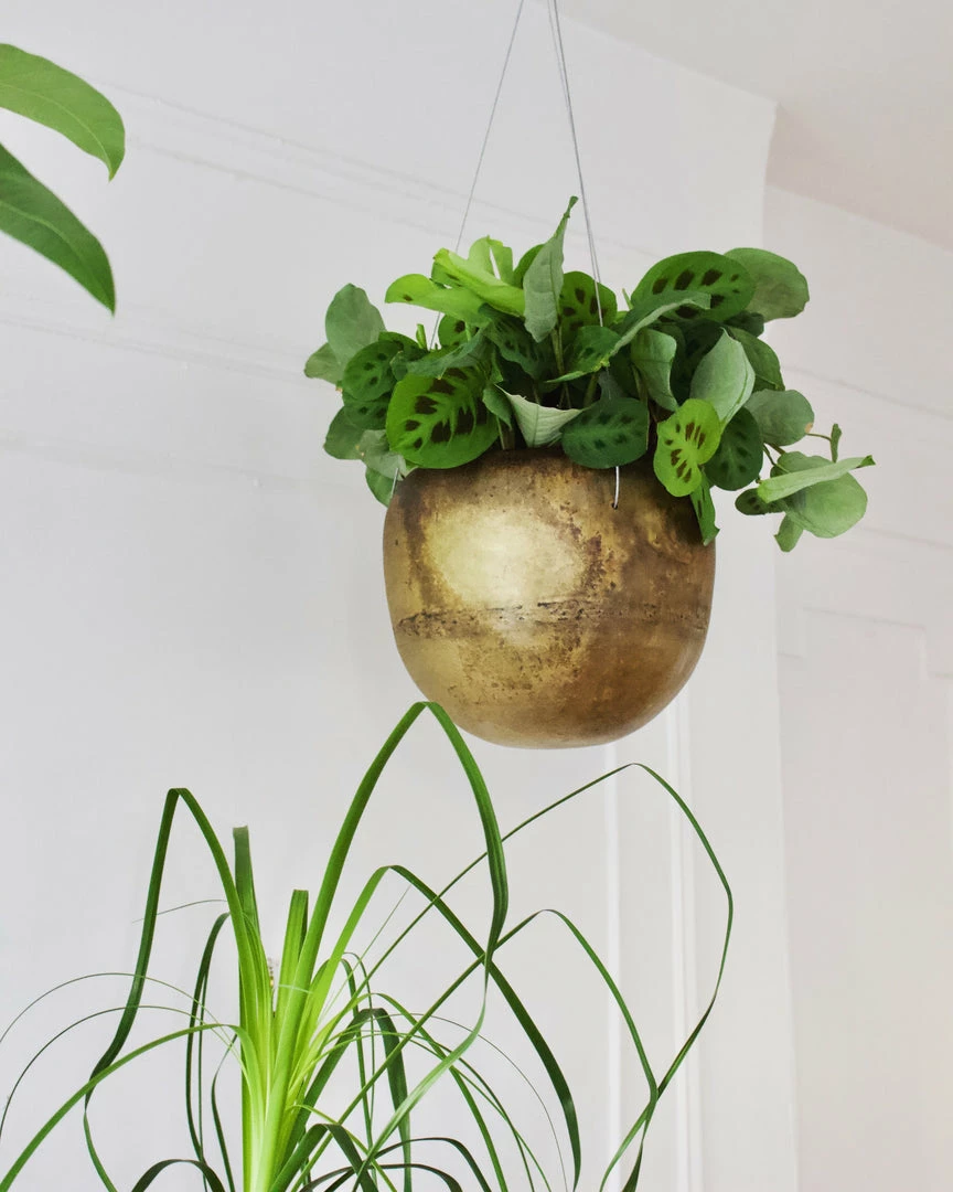 Feng Sway MCM Brass Hanging Planter 3 Feng Sway MCM Brass Hanging Planter